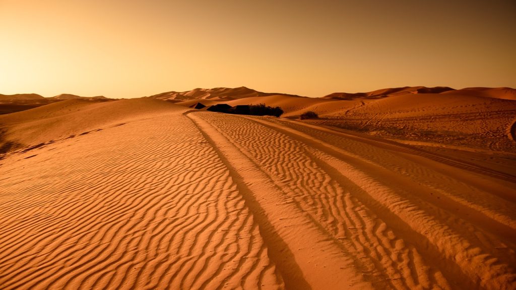 desert