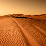 desert