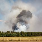 Forest Fire (Pixabay)