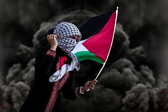 Pro Palestinian protester