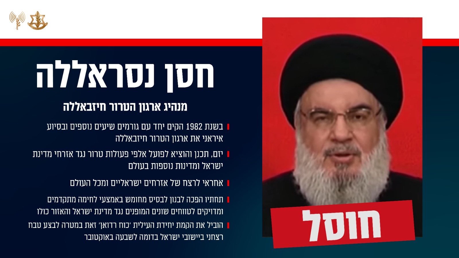 Nasrallah's Profile, Photo: IDF Spokesperson